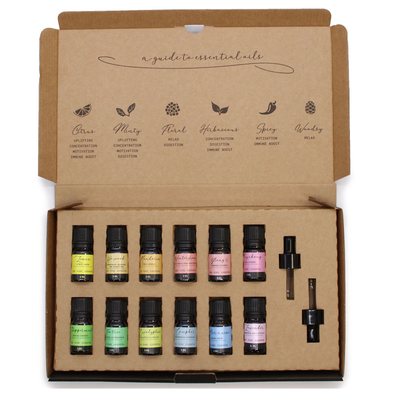 Aromatherapy Essential Oil Set - Starter Pack - Image 3